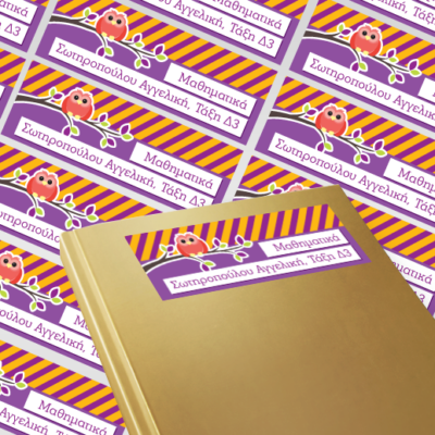 Αυτοκόλλητες Ετικέτες με Κουκουβάγια για Βιβλία με Ονοματεπώνυμο