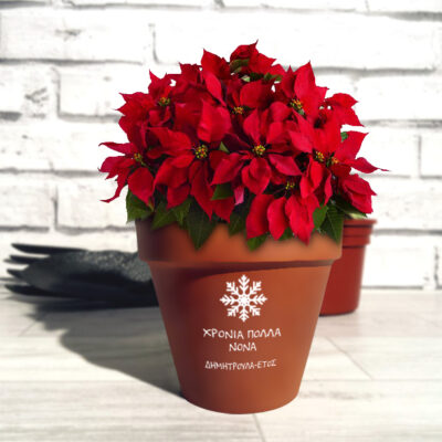 Γλάστρα με νιφάδα, Προσωποποιημένη με Ονόματα