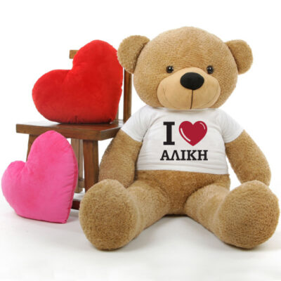 Αρκούδος 45cm ή 25 cm καθιστός, με Προσωποποιημένο tshirt με Καρδιά