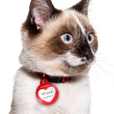 Κονκάρδα για γάτα Προσωποποιημένη με Όνομα