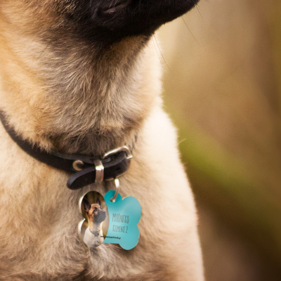 Ταυτότητα για Σκύλους, Προσωποποιημένη με Όνομα