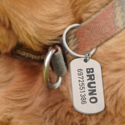 Ταυτότητα για Σκύλο με Όνομα με χάραξη laser